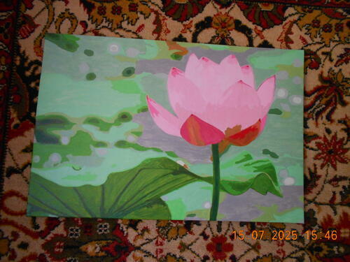 Фотографии готовых работ картин по номерам и алмазной мозаики