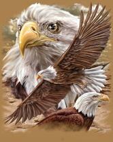 Без бренда «2KMB-4315» в Орле