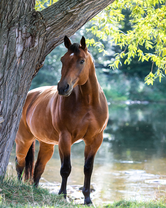 Без бренда «2KMB-4594» в Орле