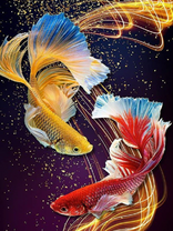 Без бренда «Желтая и красная рыбки» в Орле