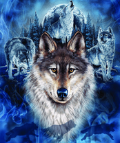 Без бренда «2KXSB-0687» в Орле