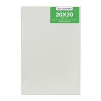 Без бренда «Коробка 80 шт.: Холст Две картинки на подрамнике 20X30» в Орле