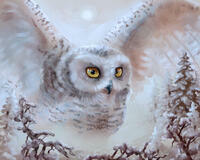 Без бренда «Полярная сова над лесом (20шт)» в Орле