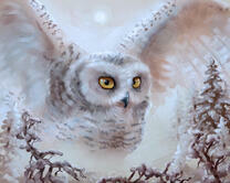 Без бренда «Полярная сова над лесом (20шт)» в Орле