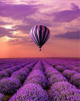 Без бренда «Фиолетовый воздушный шар над фиолетовым лавандовым полем (20шт)» в Орле