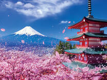 Без бренда «BOX20-2KSB-7277» в Орле