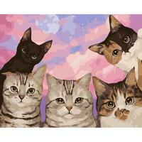 Без бренда «Такие разные котики» в Орле в интернет-магазине  Без бренда «Такие разные котики» в Орле