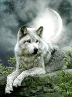 Без бренда «Коробка 25 шт. картин по номерам BOX25-GX21058» в Орле в интернет-магазине  Без бренда «Коробка 25 шт. картин по номерам BOX25-GX21058» в Орле