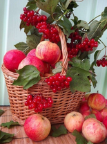 Без бренда «Коробка 25 шт. картин по номерам BOX25-GX5174» в Орле в интернет-магазине  Без бренда «Коробка 25 шт. картин по номерам BOX25-GX5174» в Орле