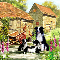 Собака и щенки на деревенском дворе