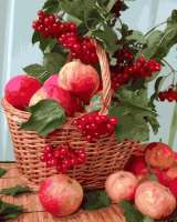 Без бренда «Плетёная корзина с калиной и яблоками» в Орле