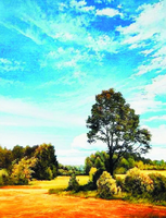 Без бренда «Осенний пейзаж с голубым небом» в Орле