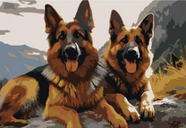 Две овчарки отдыхают