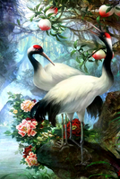 Без бренда «Коробка 25 шт. картин по номерам BOX25-GX29399» в Орле в интернет-магазине  Без бренда «Коробка 25 шт. картин по номерам BOX25-GX29399» в Орле