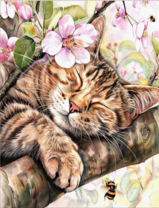 Без бренда «Волосатый котик спит на ветви яблони» в Орле