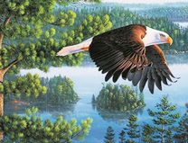 Орел над туманом в лесу