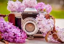 Фотоаппарат среди цветов сирени